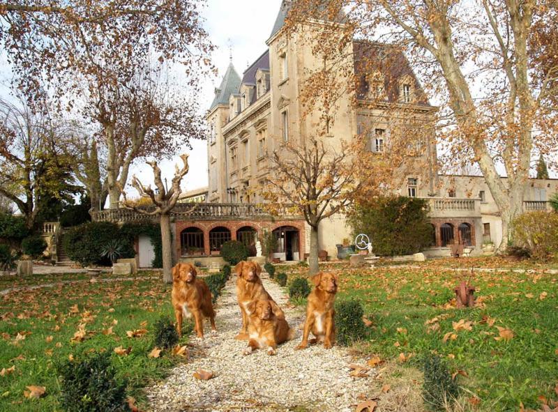 Le Mogador Chateau Du Martinet Violès Zewnętrze zdjęcie
